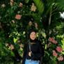 Winda